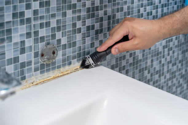 Best Best Mold Removal Companies  in Shattuck, OK